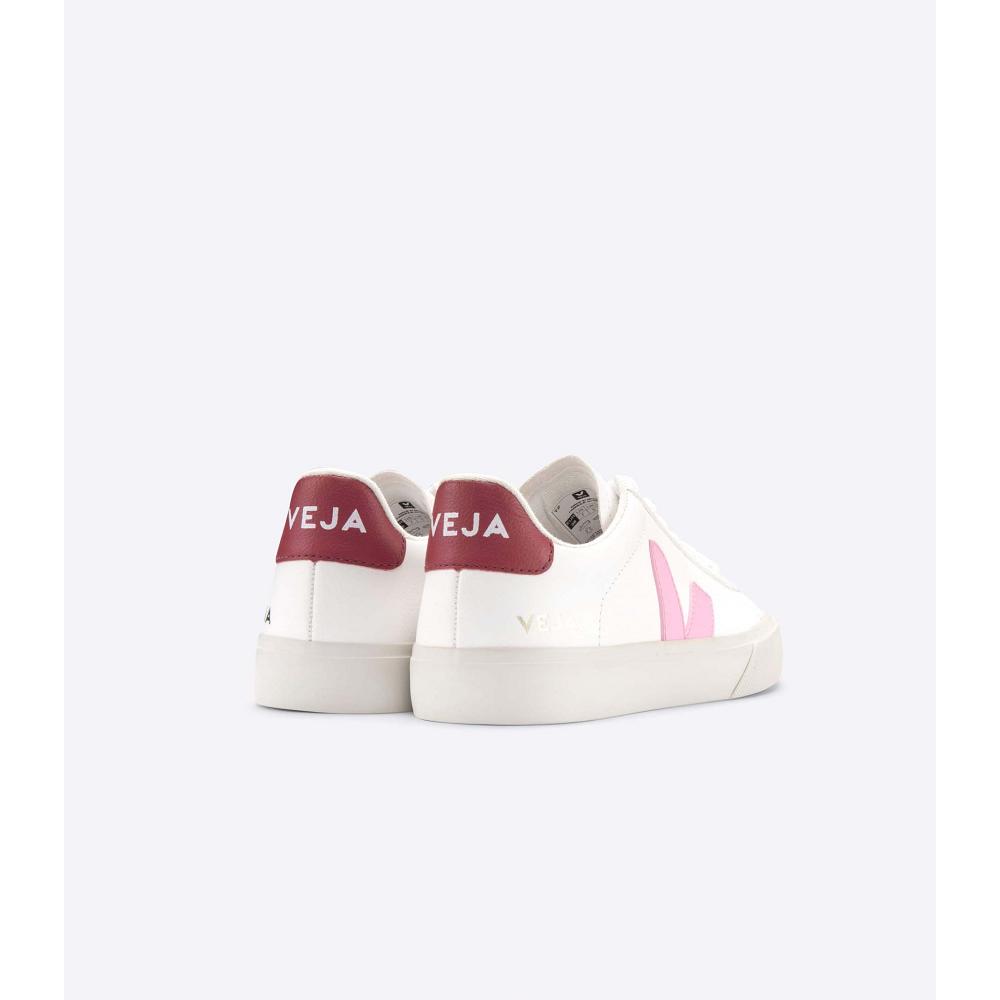 Veja CAMPO CHROMEFREE Low Tops Sneakers Heren White/Pink | NL 193WNB